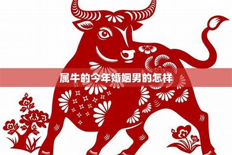2025年是几龙治水几牛耕田几人一饼