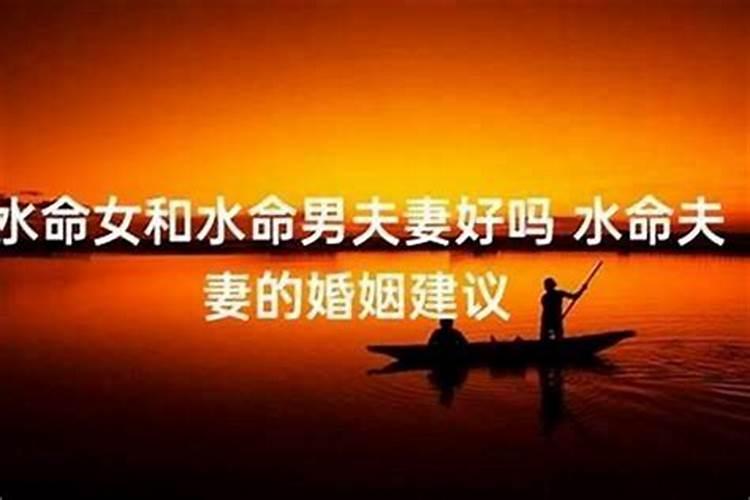 水命和金命的人合不合