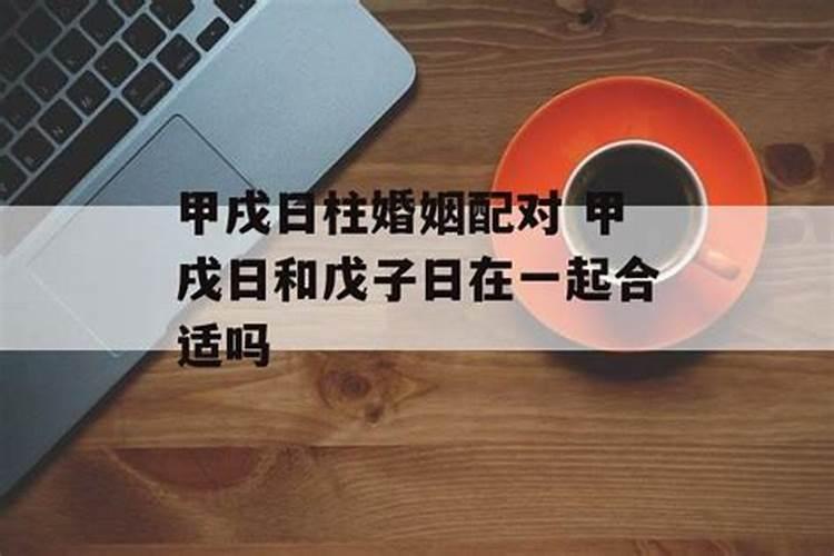 1973年生人2024年运势如何