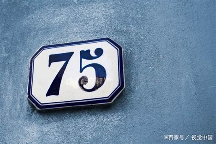 75年的兔在2025年的运势和财运