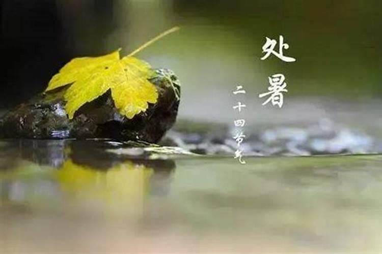 小暑的时间和代表的意思大暑的时间和代表的意思立秋的时间和代表的意思...