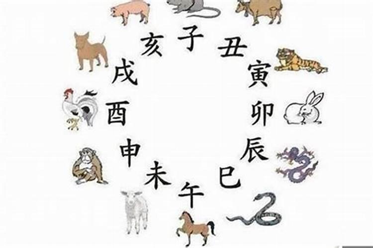 属羊男和属虎女相配吗