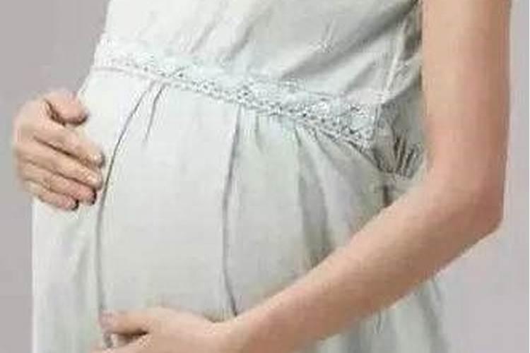 太岁是什么东西？值钱？