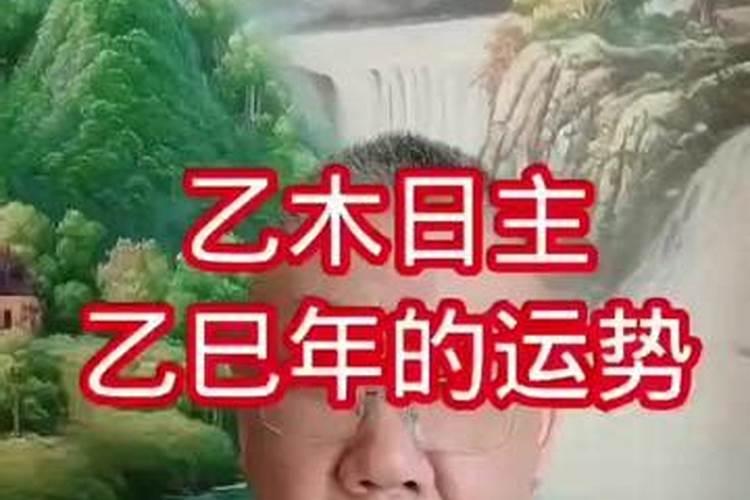 乙木旺喜火25年上半年运势