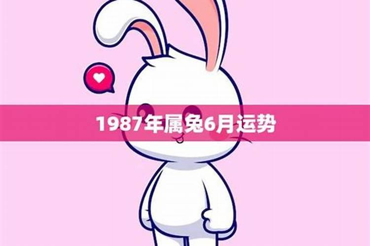 87年闰六月属兔人命运如何