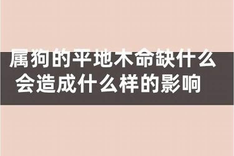 平地木命好不好？平地木命是什么？