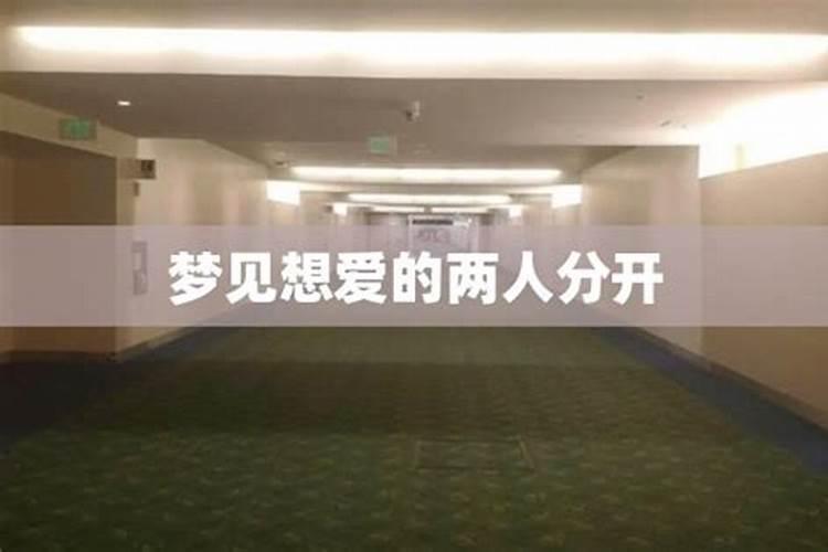 属鸡好运和倒霉的年份