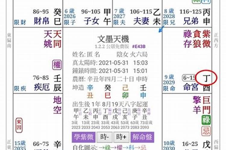 属鼠2025运势及运程详解