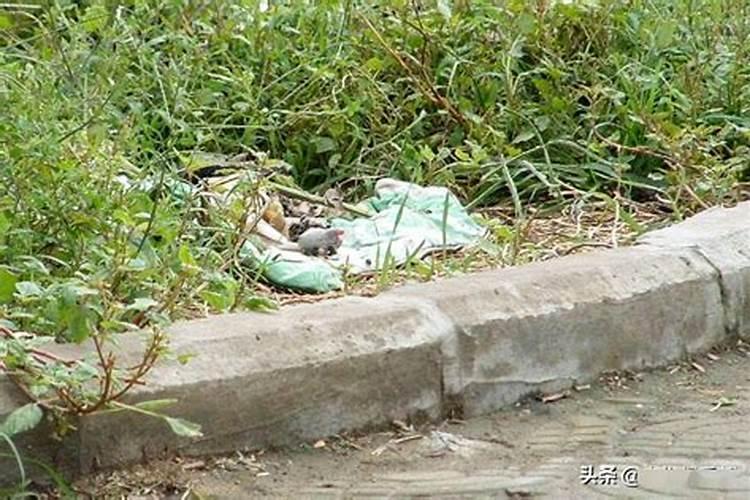 中国四大鬼节 中国四大鬼节是几月几日