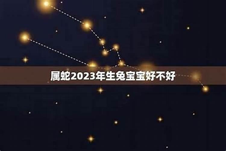 2013年属蛇的在冬至那天出生的孩子运程如何啊？会不好吗？