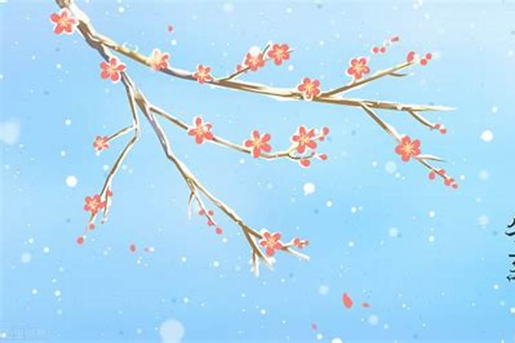 一年有几个财神日 一年有2个财神日对吗