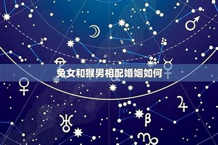 姻缘配对:属兔男和属猴女可以做夫妻吗 婚配好吗