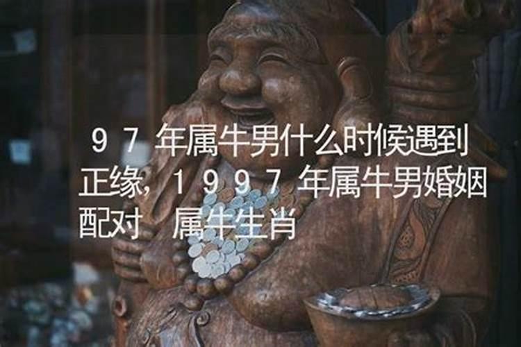1997属牛2025年运势运程如何