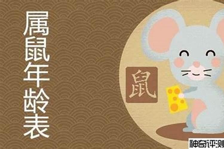 72年属老鼠的在2025年运气怎样