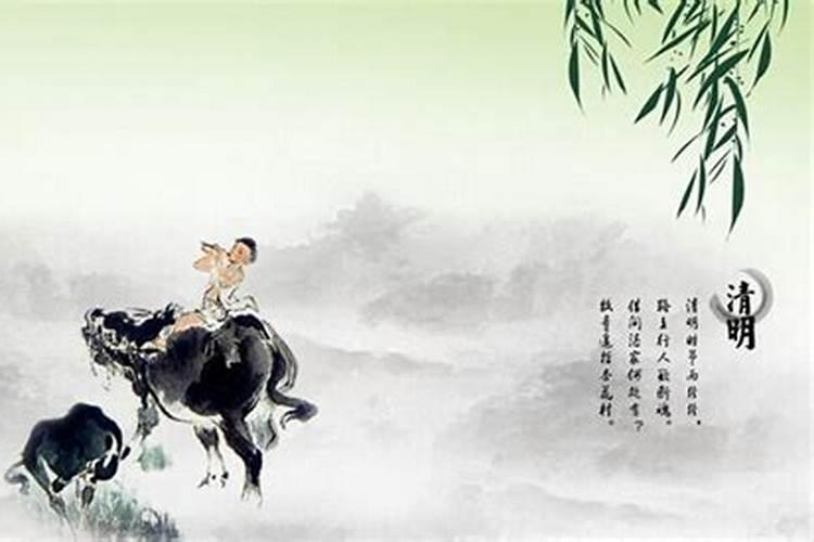 南北山坡多墓田清明扫墓纷纷然纸灰飞作白蝴蝶血泪染成红清明扫墓诗