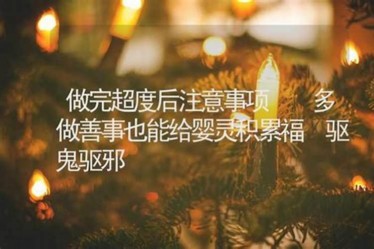 梦见好多乌龟死了的预兆
