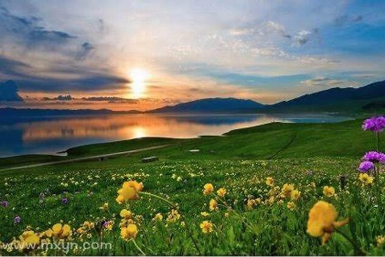 梦见山头是什么意思