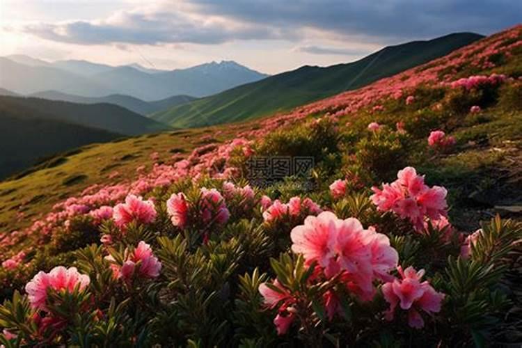 梦见山头