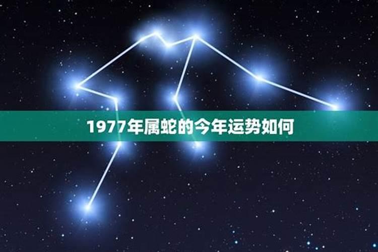 辛亥年辛亥月辛亥日辛卯时出生的女人命格如何？
