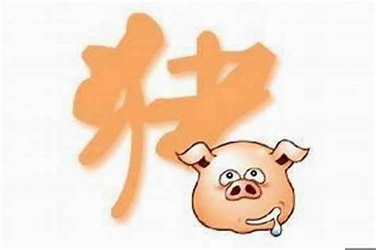 71猪女哪年是灾难
