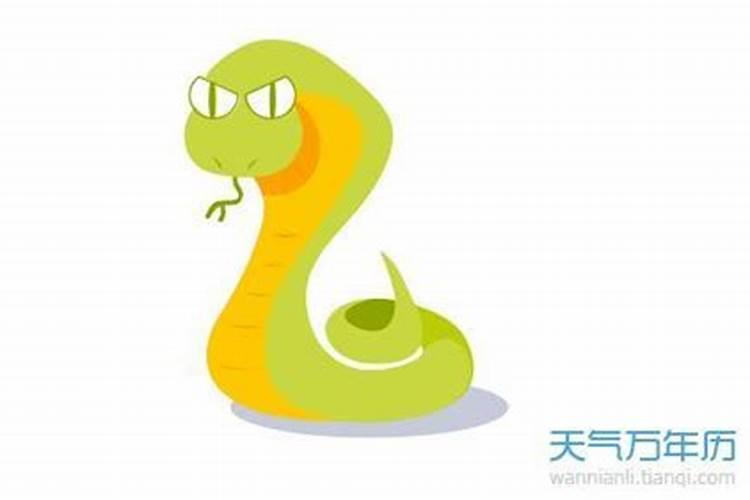 腊月出生的蛇好不好