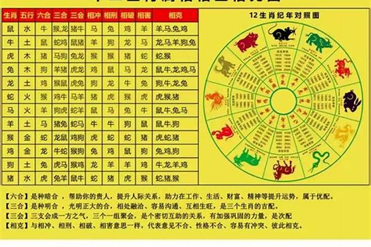 男属羊和什么属相相克