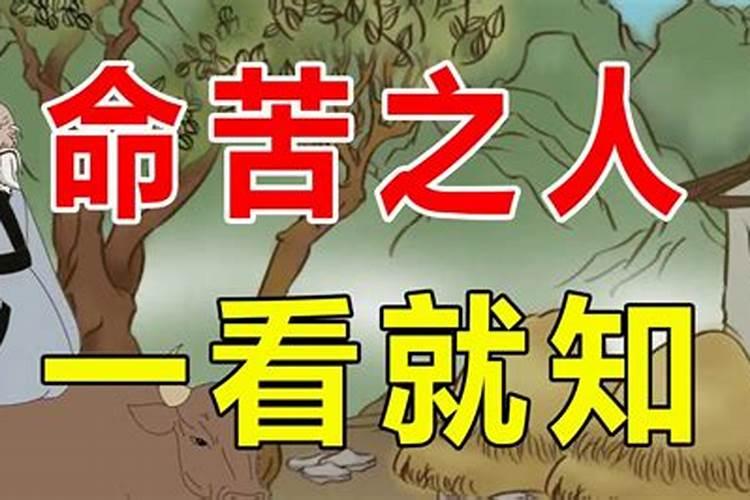 命苦之人,一看便知,有这三种特征的人或许会命苦,有道理吗？