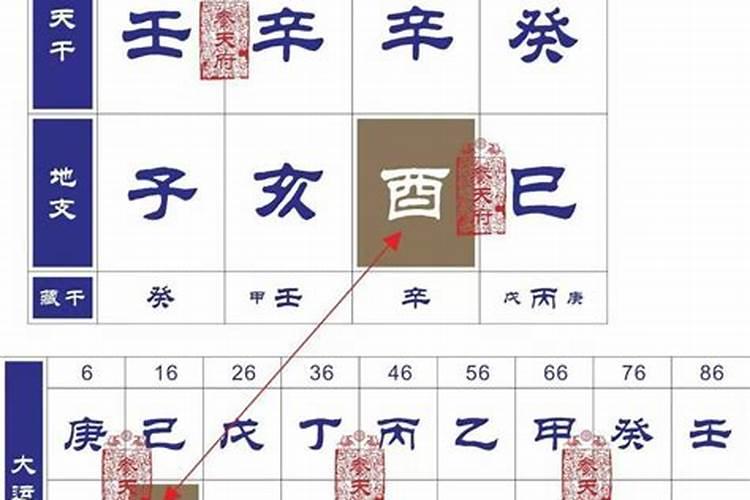 什么是三合六合