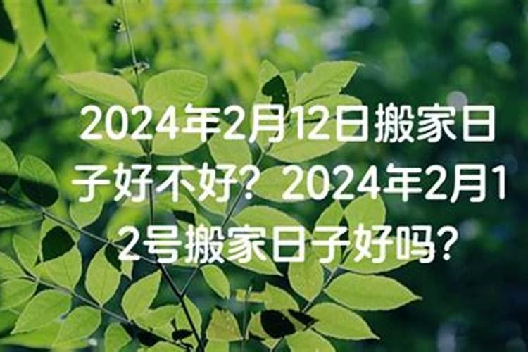 1981年农历12月20日丑时,帮我算算,今年的运气好不好