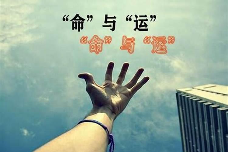最佳夫妻属相婚配表,十二生肖的最佳婚配