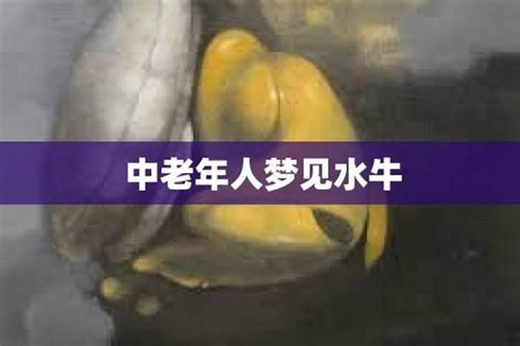 初一和十五供财神买什么供品好 初一和十五供财神买什么水果好百度知 ...