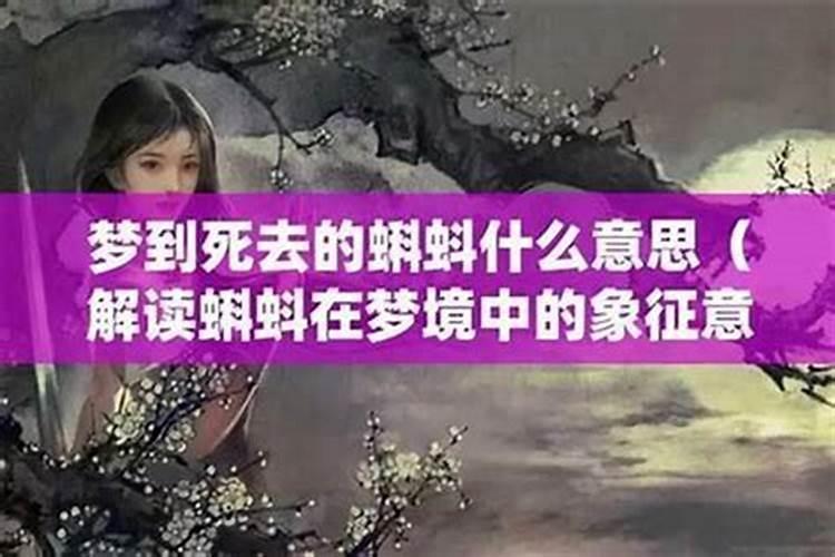 属牛人未来五年运势