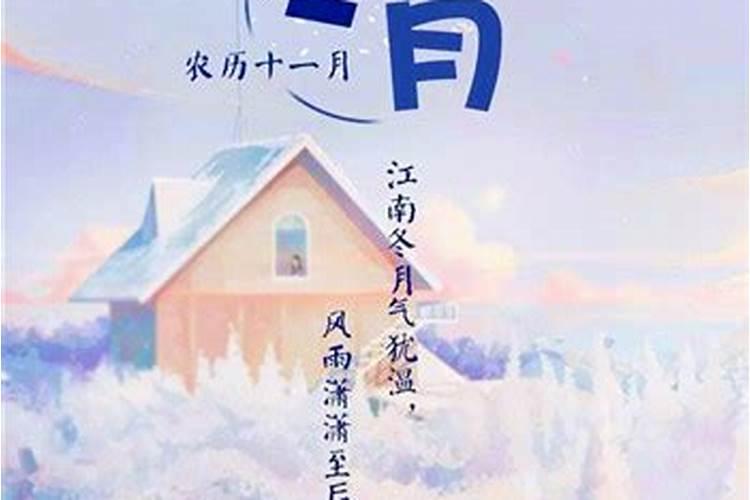 76龙男2025每月财运