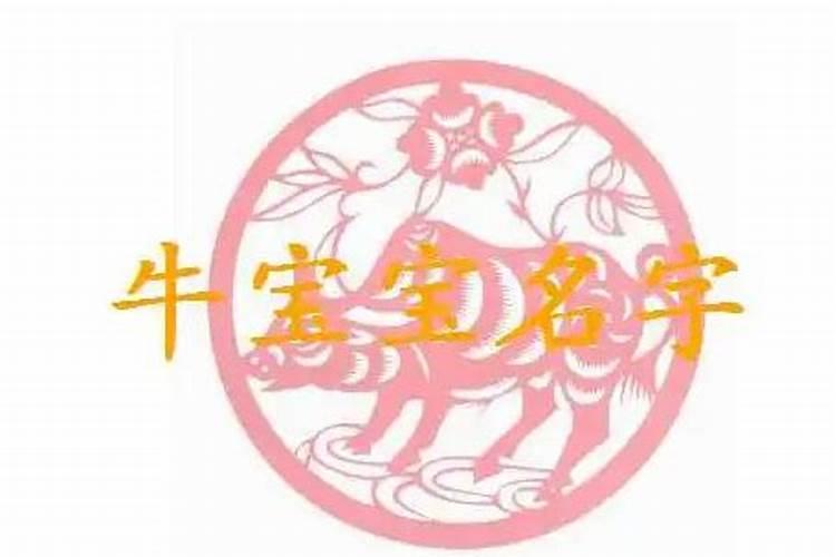 1976年属龙未来5年运势 感情可能会出现一些危机？