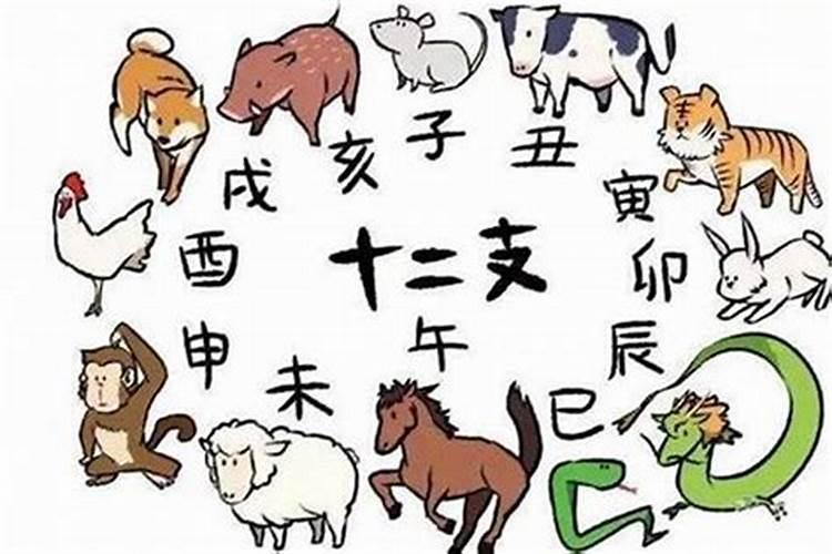 2025年犯太岁的生肖猪怎么化解2025年犯太岁的生肖猪怎么躲星