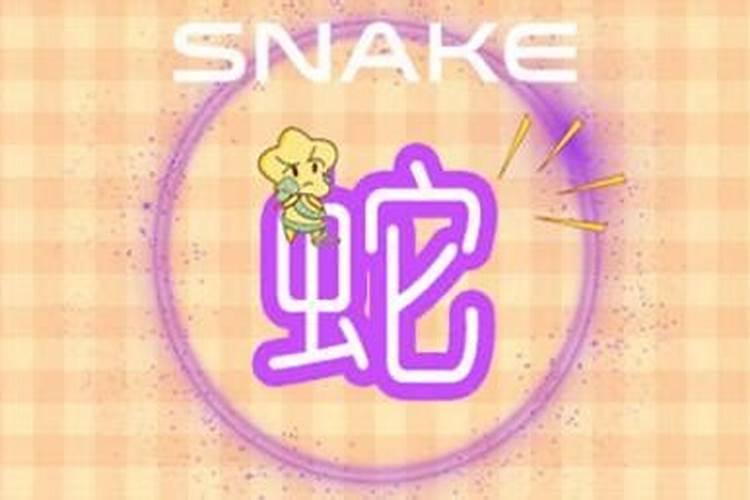 属蛇和属羊的合得来吗