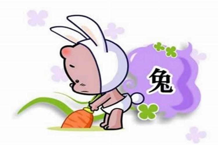 属兔的人在2006狗年运情如何？