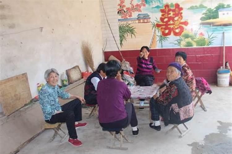 属兔女和什么属相配
