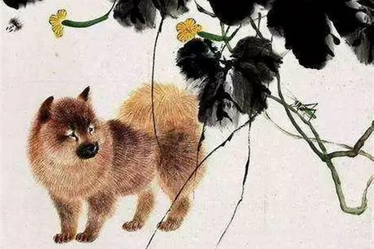 属虎五月生人的性格属虎五月出生的命运好不好