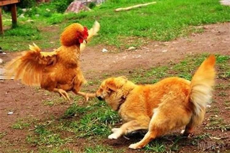 腊月二十九上坟的讲究