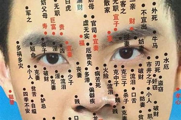 66年属马的2025年运势怎么样
