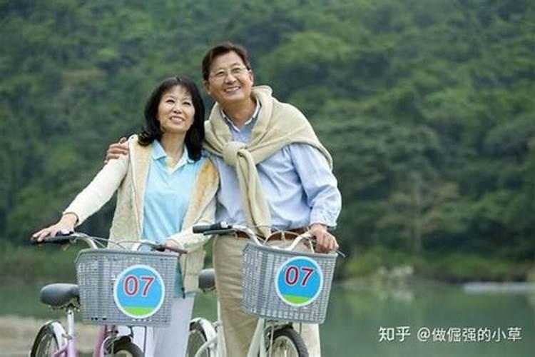 2025年2月17号的特吉生肖