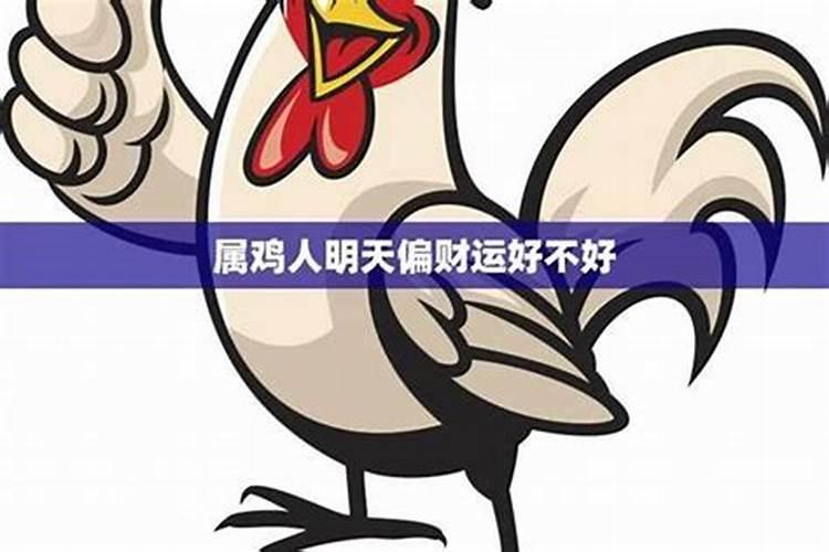 明年属鸡的运势怎样化解