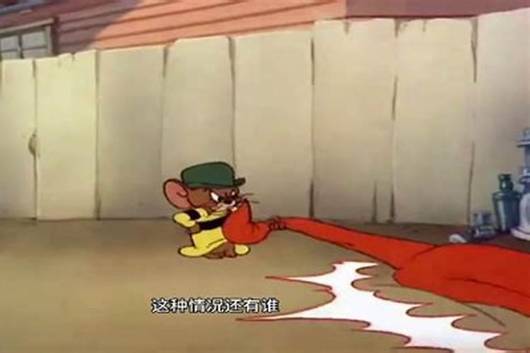 1996年属鼠的2024年运势运程每月运程
