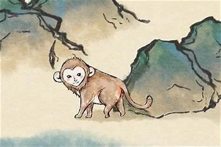 属猴人2025全年运势 属猴人2025年每月运势