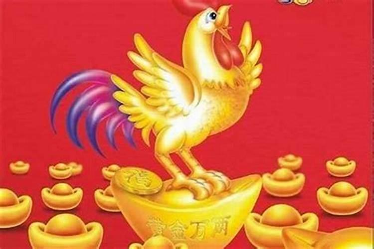 81年6月鸡好不好属鸡最命苦的时辰