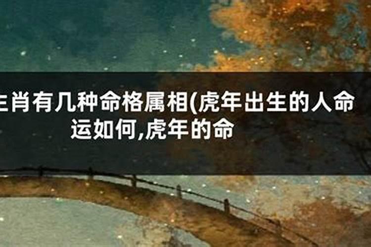 哪个属相腊月出生最好