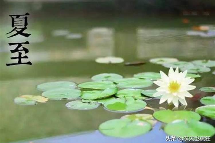 一九七九年四月十九出生男今年六月运气怎么样