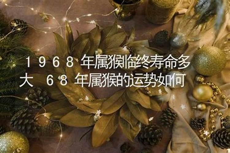 1968年农历8月19日出生男什么命