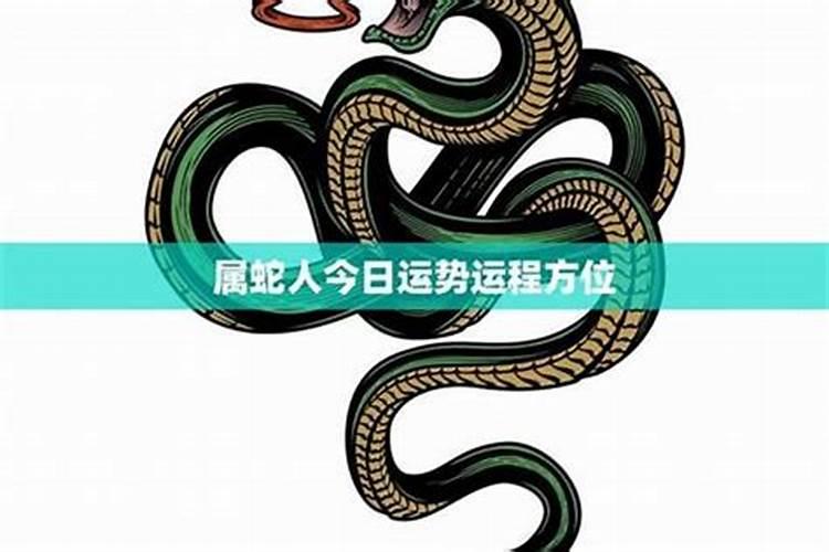 生肖蛇本周运势查询,属蛇人明日最准的运势